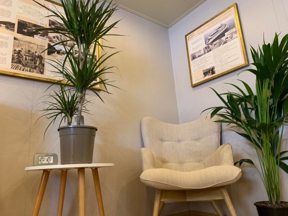 Image of Swallow yacht #4