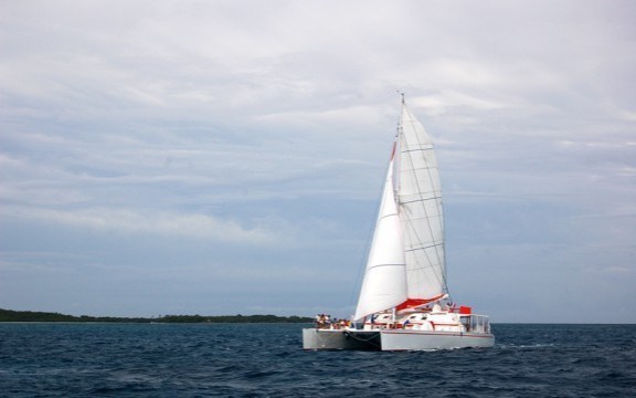 Image of DREAM 82 yacht #3