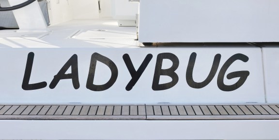 Image of Ladybug yacht #42
