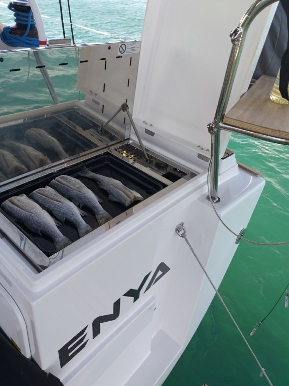 Image of Enya yacht #8