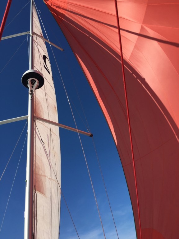 Image of Omega yacht #12