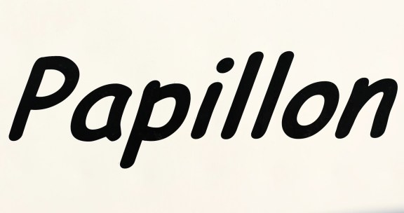 Image of Papillon yacht #42