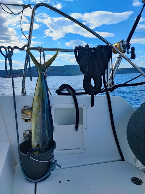 Image of Oceana yacht #7