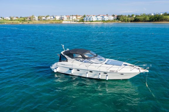 Image of Fido yacht #5