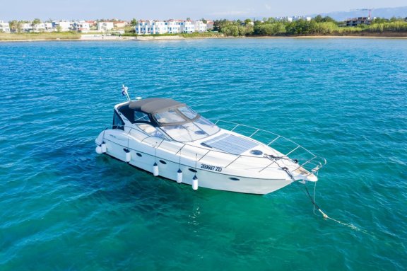 Image of Fido yacht #7