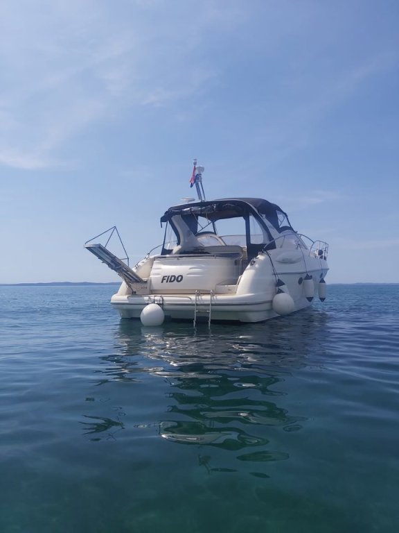 Image of Fido yacht #8