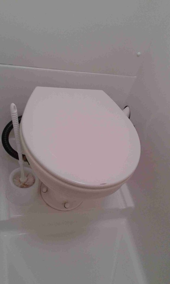 Image of Pegasus yacht #15