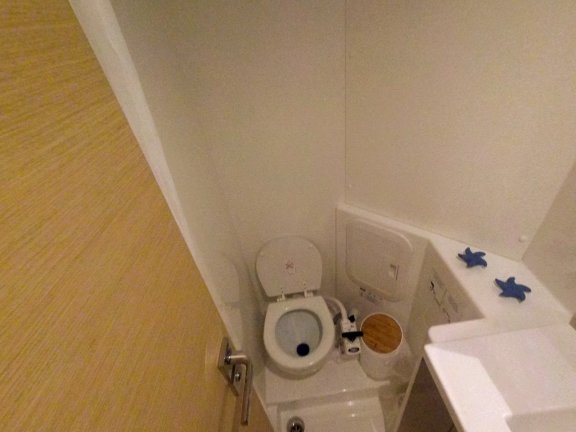 Image of E-Varka yacht #12