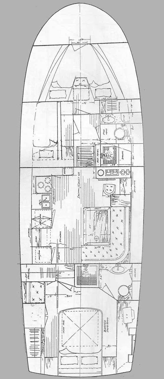 Image of Sea Lion yacht #2