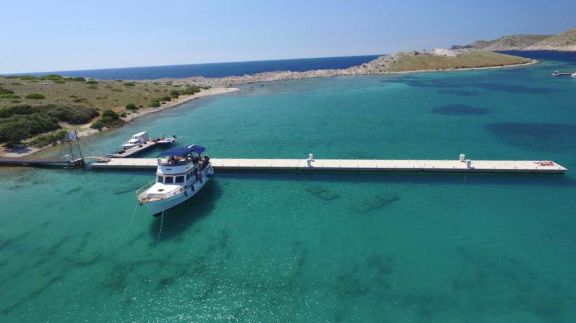 Image of Sea Lion yacht #22