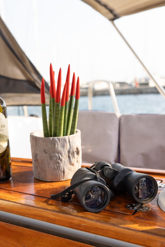 Image of Marlo yacht #3