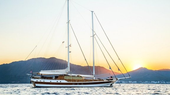 Image of Wicked Felina yacht #8