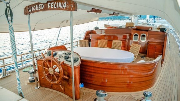 Image of Wicked Felina yacht #20