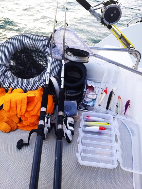 Image of Zenith yacht #12