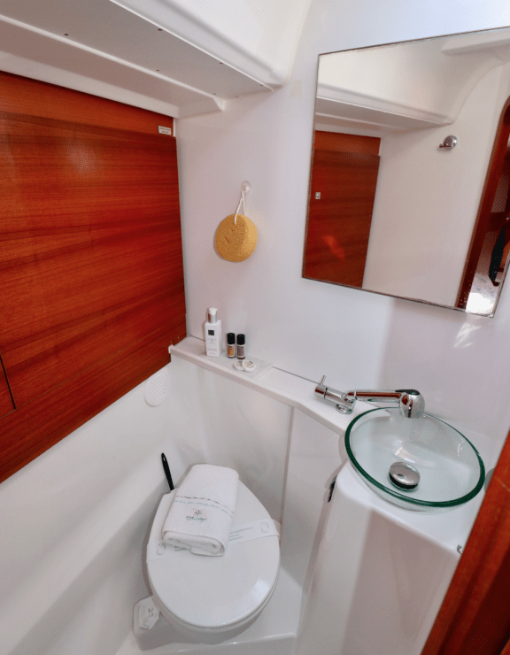 Image of Alila III yacht #15