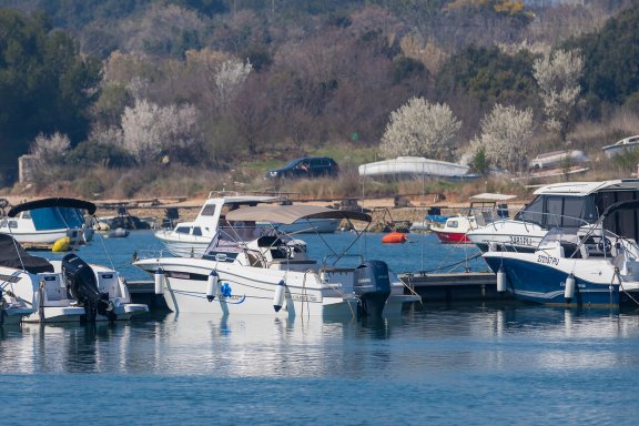 Image of No Name yacht #10