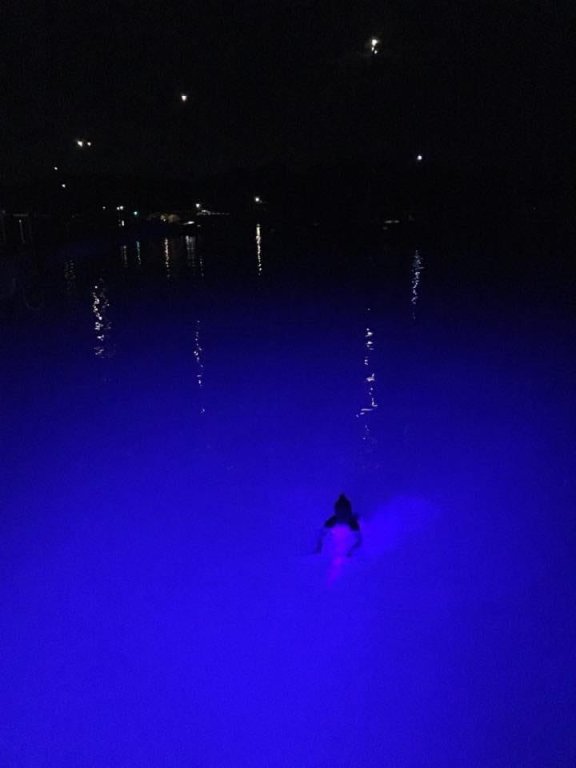 Image of Alte Veste yacht #18