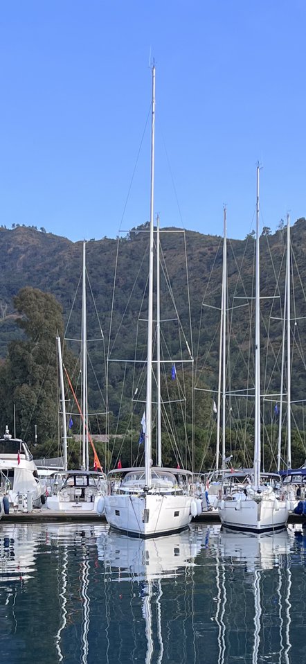 Image of B-Line yacht #5