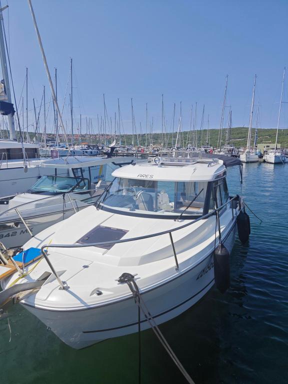 Image of Ares yacht #4