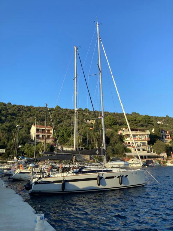 Image of Ana yacht #4