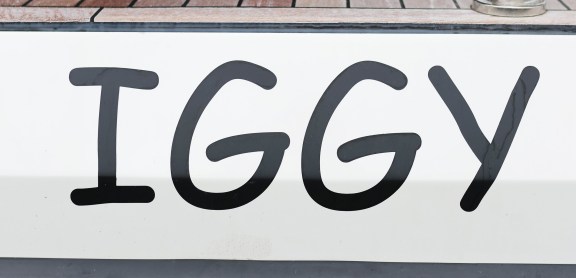 Image of Iggy yacht #48