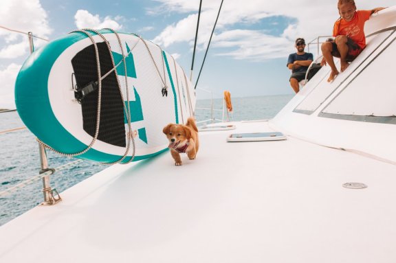 Image of Bipago 30 yacht #17