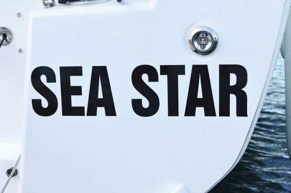 Image of Sea Star yacht #43