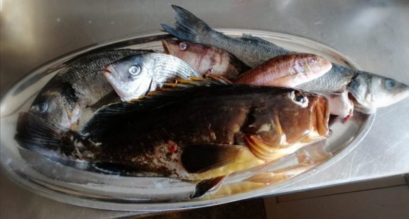 Image of Adriatic Holiday yacht #23