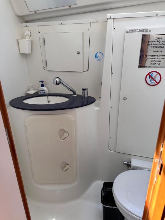 Image of Miss Aleyna yacht #31