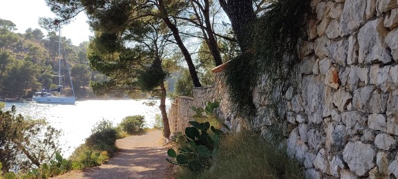 Image of Blue Swede yacht #10