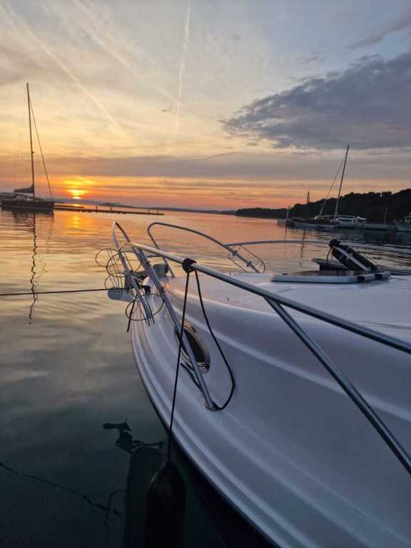 Image of Delfin I yacht #4