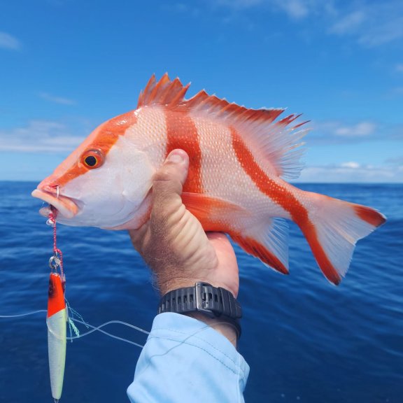 Image of Poerava yacht #25