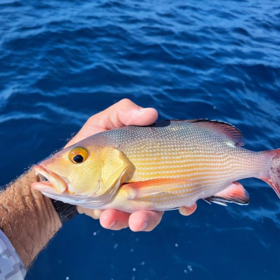 Image of Poerava yacht #32