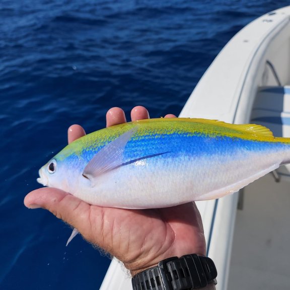 Image of Poerava yacht #33