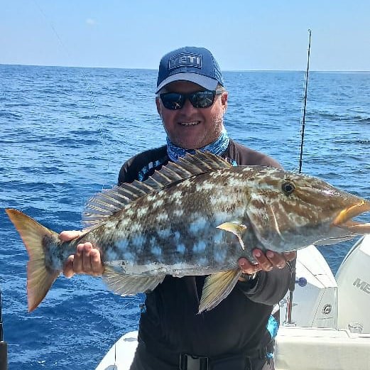 Image of Poerava yacht #24