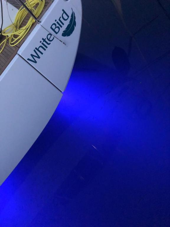 Image of White Bird yacht #13