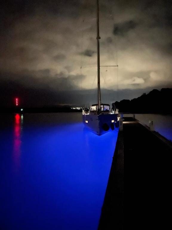Image of White Bird yacht #27