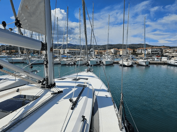 Image of Salvia yacht #7