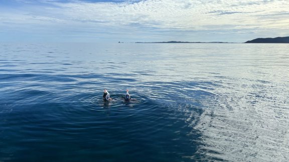 Image of Catherine yacht #15