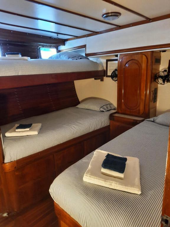 Image of Blue Titan yacht #14