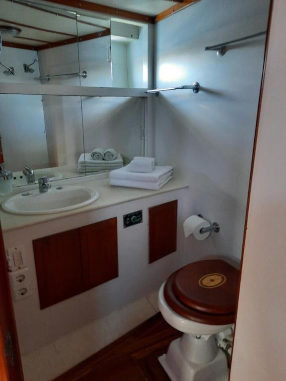 Image of Blue Titan yacht #17