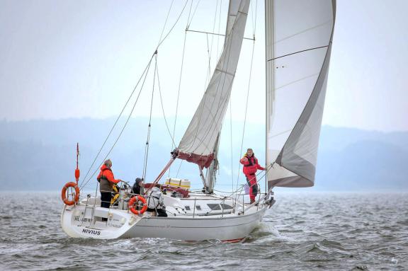 Image of Nivius yacht #4