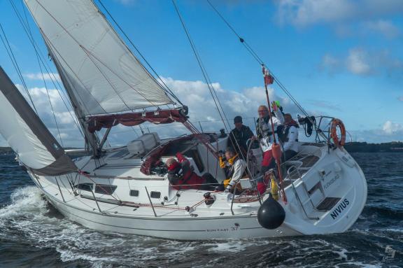 Image of Nivius yacht #10