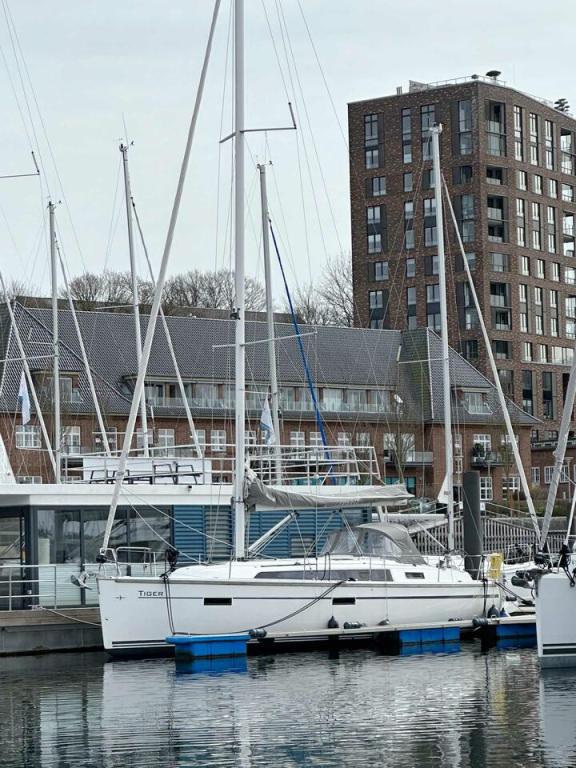 Image of Tiger yacht #6