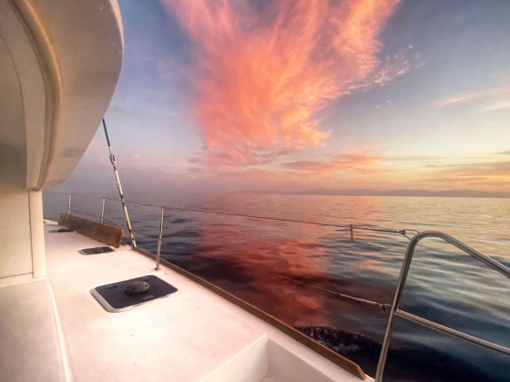 Image of Iris yacht #4