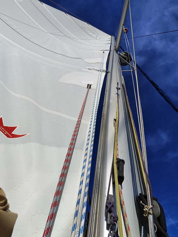 Image of Swing yacht #19