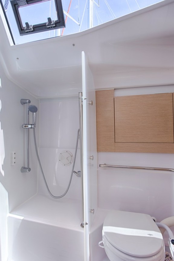 Image of Lion yacht #21