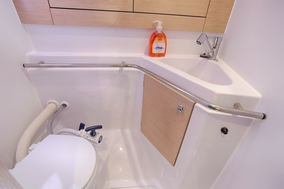 Image of Lion yacht #19