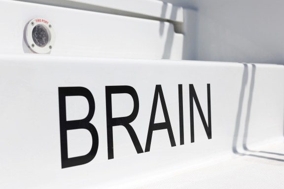 Image of Brain yacht #47