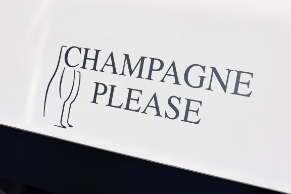 Image of Champagne Please yacht #35